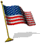 usaflagwavin.gif